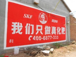 旺苍刷墙广告”蕴含了时代命题