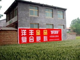 旺苍如何让墙体广告展现最大化效果