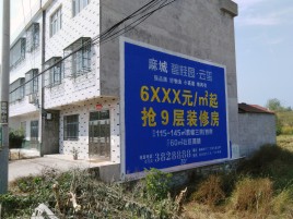 旺苍墙体广告质量分析