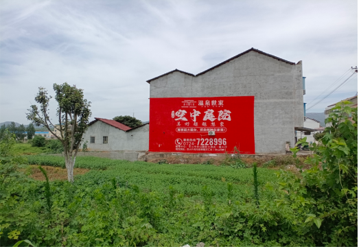 旺苍做墙体广告的意义