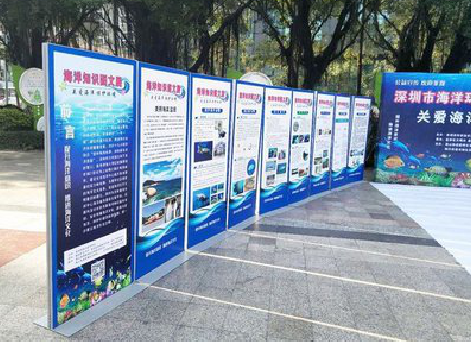 旺苍KT板的种类和知识。